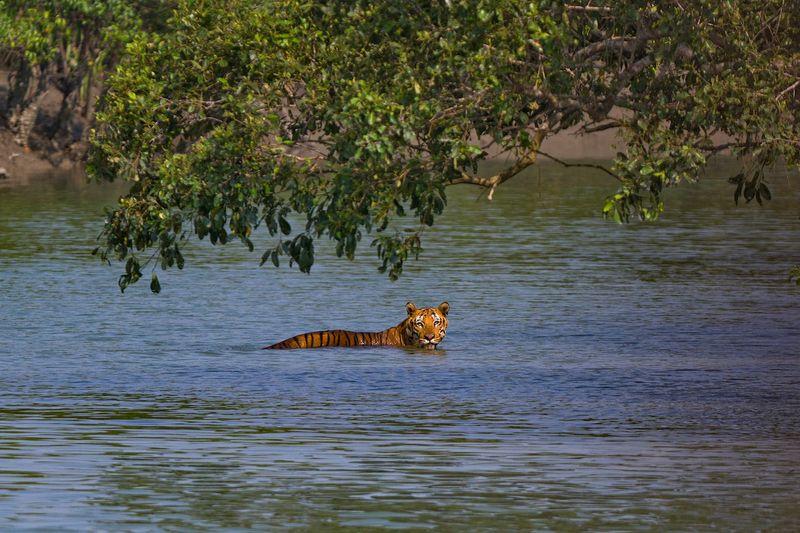 Use of Water and Aquatic Environments
