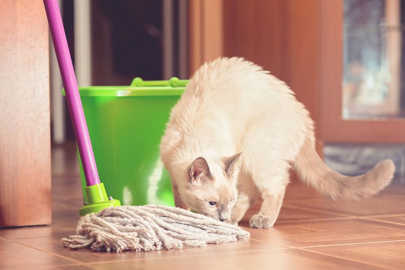 Using Toxic Cleaning Products