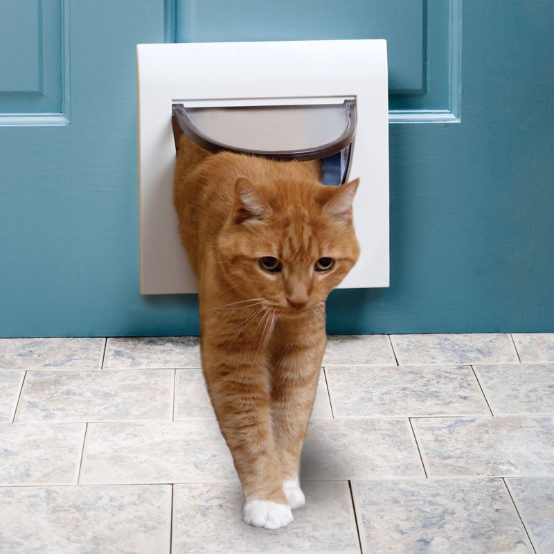 Using a Cat Door