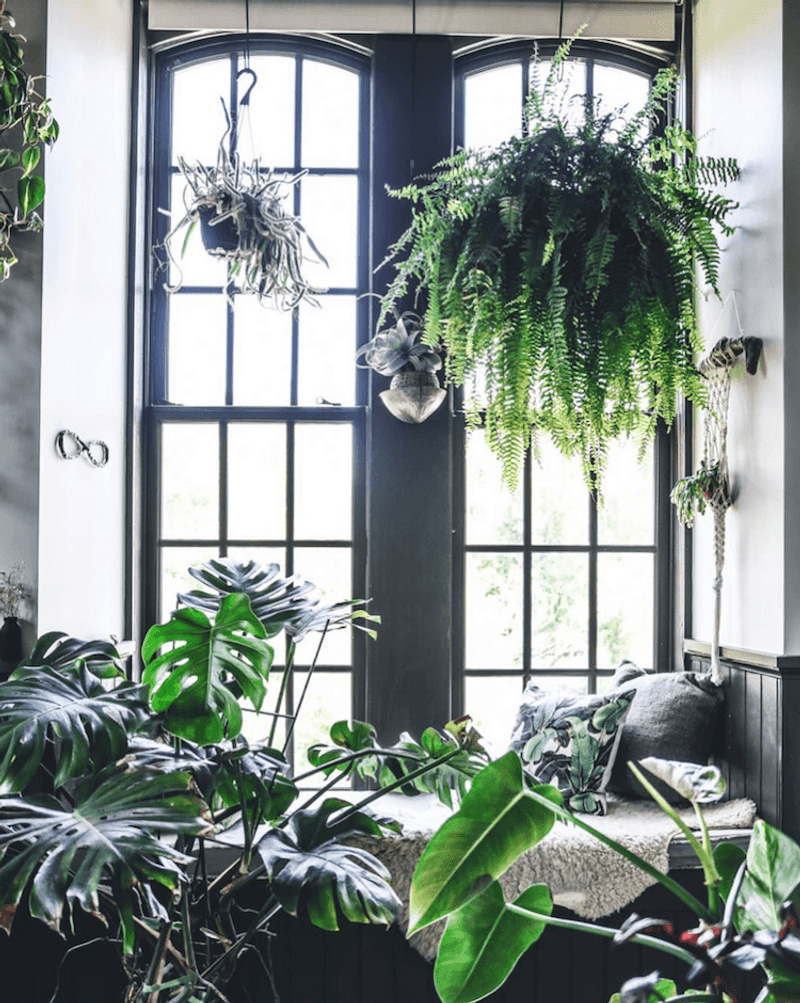 Utilize Hanging Planters