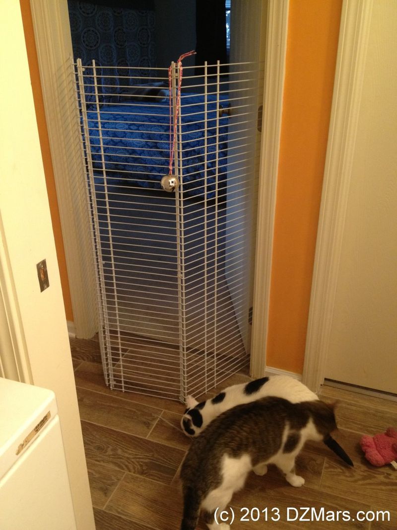 Utilize a Baby Gate for Visual Introduction