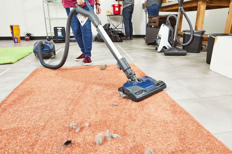 Vacuum Regularly