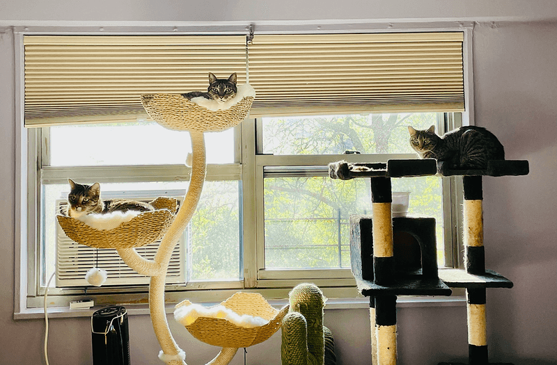 Vertical Space Access
