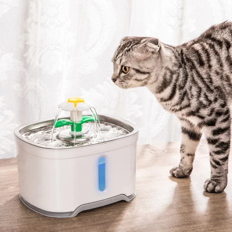 Water Stations That Encourage Drinking