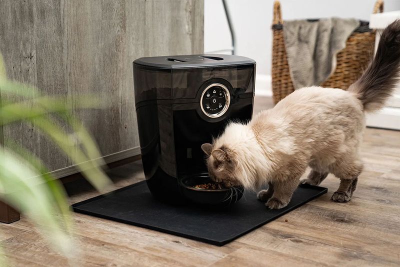 Whisker Feeder-Robot