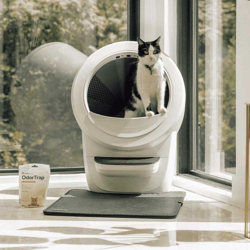 Whisker Litter-Robot 4