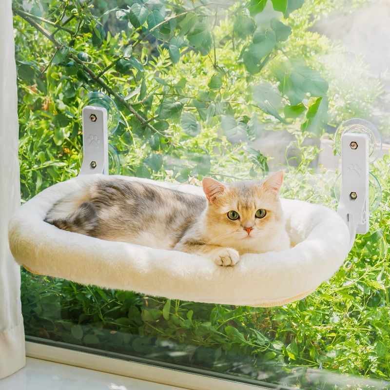 Window Perch