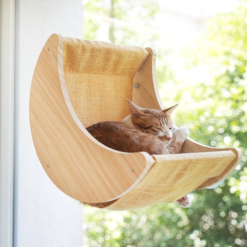 Window Perches