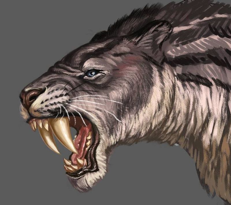 Xenosmilus