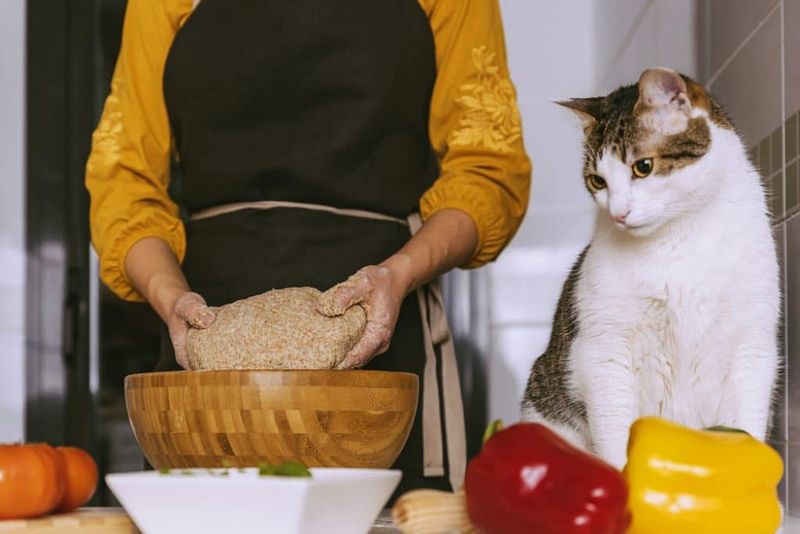 Yeast Dough