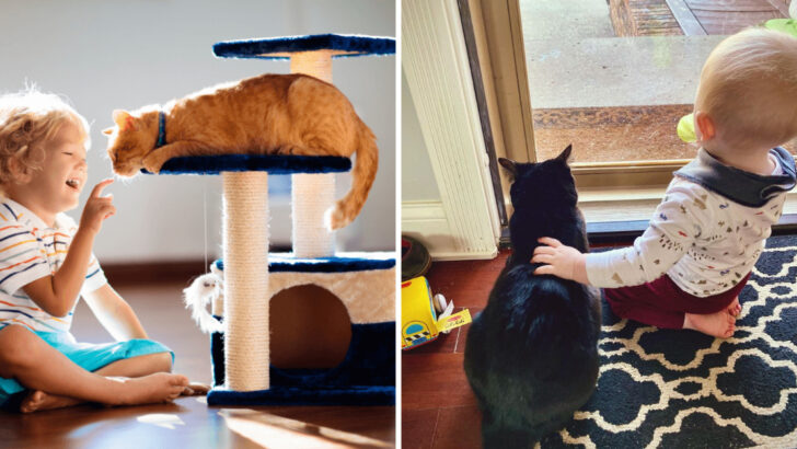 Are Cats Good Companions for Children? 15 Benefits & Tips