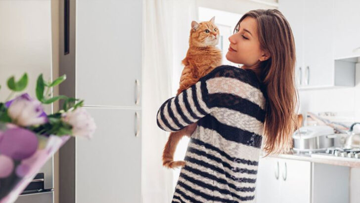 Bringing Home a Rescue Cat? Here’s How to Introduce Them Safely