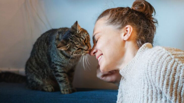 Can Humans Truly Understand Cats?