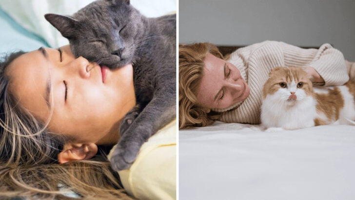 Cats in your bed? Research says good for some and bad for others