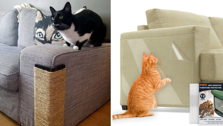 I Spoke to Vets About Cat Scratching — These Are the Best Sofa-Saving Products