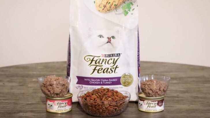 Is Fancy Feast Right for Your Cat? A Look at the Benefits and Risks