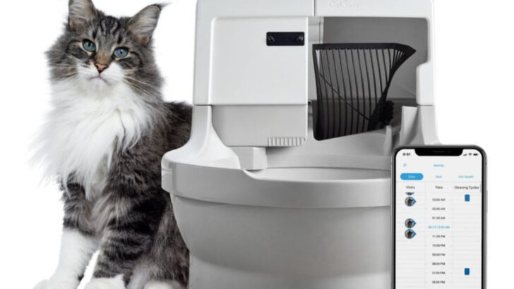 Our Top 6 Picks for the Best Self-Cleaning Litter Boxes for Cats