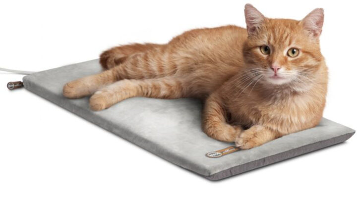 The 10 best cat cooling mats and pads in 2025, tested and reviewed