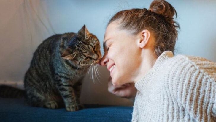 What It Means When Your Cat Licks You—According to Experts
