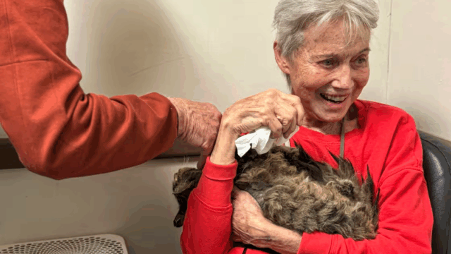 California Woman Reunites with Her Cat Months After Palisades Fire Destroyed Her Home