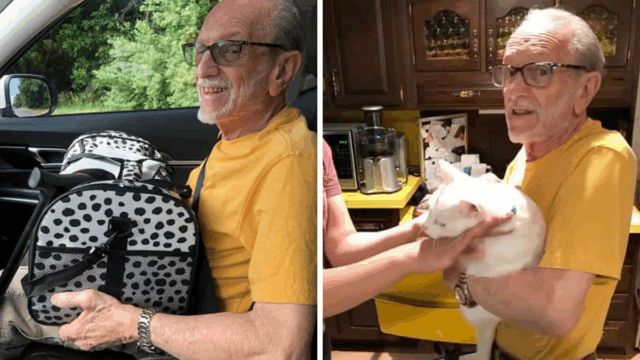 Grieving Man in New Jersey Adopts Cat After Wife’s Funeral and Finds Comfort in Companionship