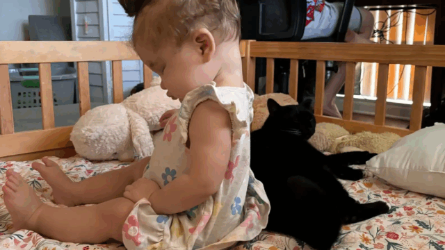 In Florida, a Blind Toddler and Her Feisty Cat Are Truly Inseparable