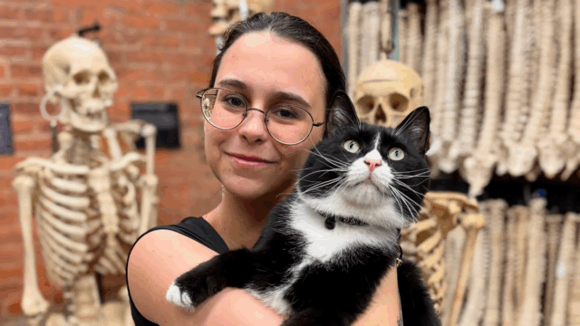 New York Museum Becomes Home to a Rescue Cat